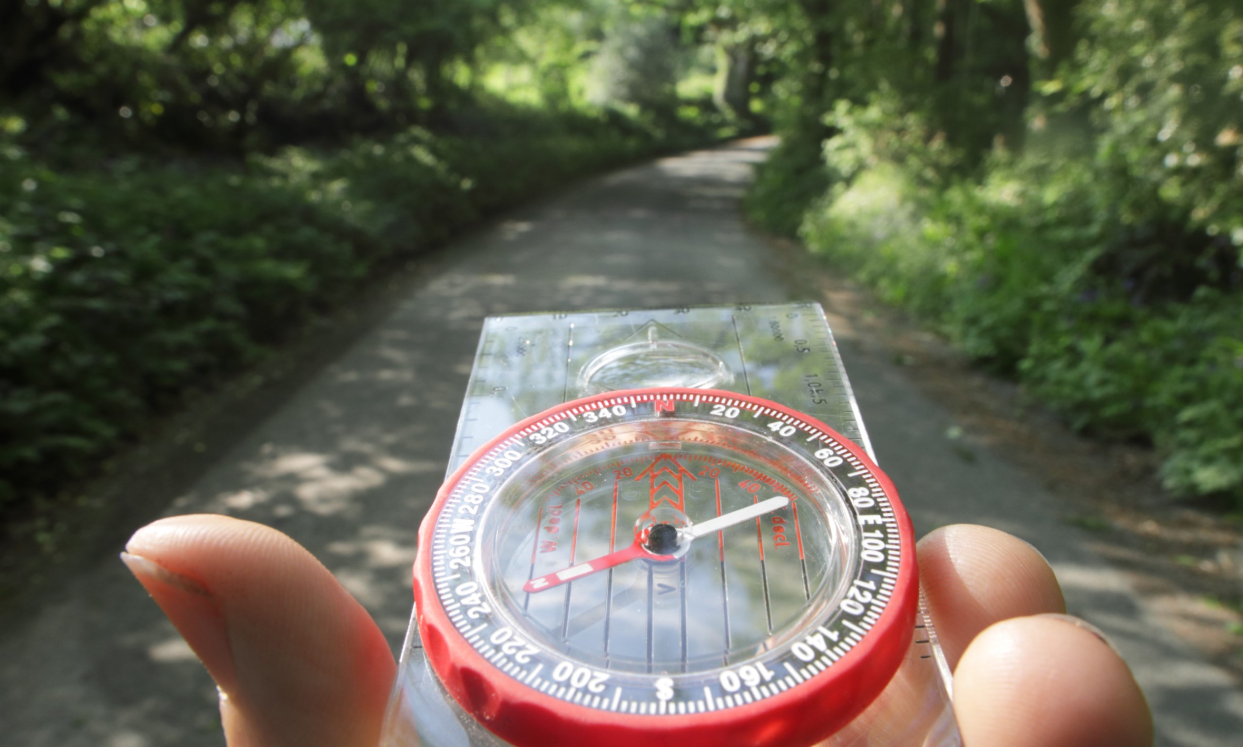 Human outside on paved path through trees with their hand holding a compass in front of them.